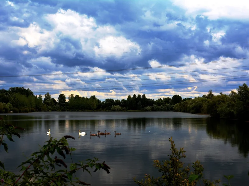 Heron Lake at Abbey Lakes France, home to 'Shoulders' the complex record holder at 98lb 4oz.